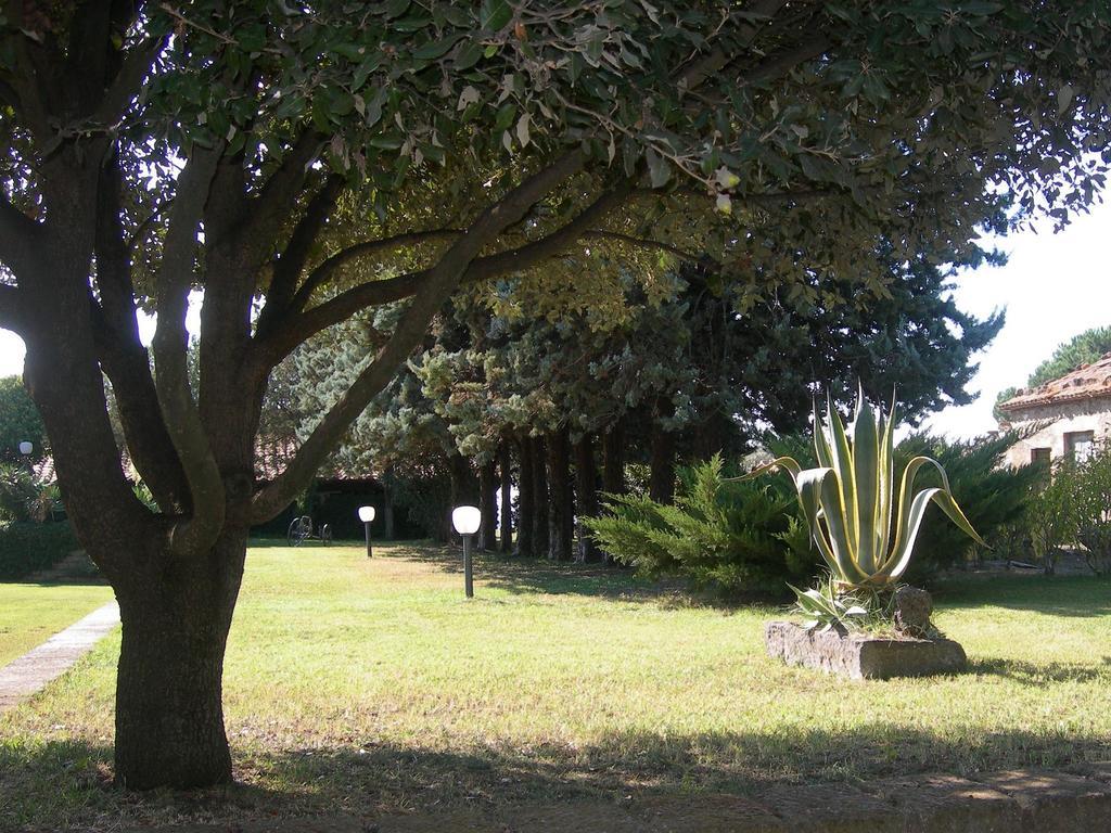 Tenuta Di Pontesodo Montalto di Castro Exterior foto