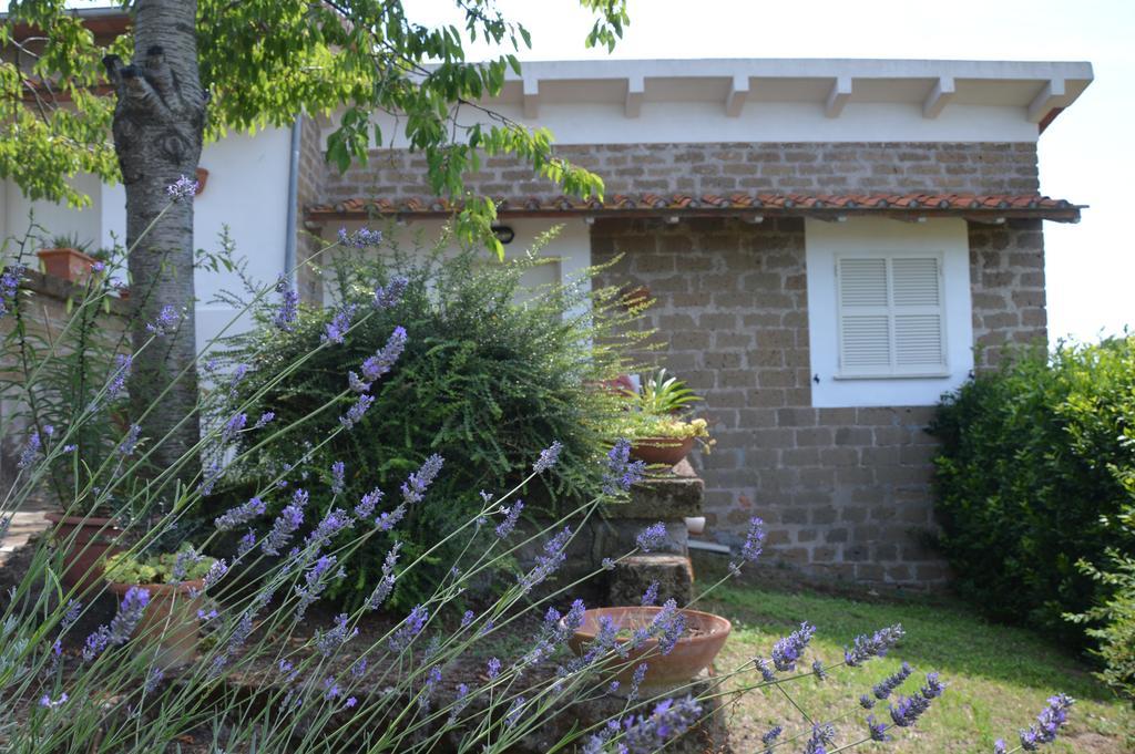 Tenuta Di Pontesodo Montalto di Castro Exterior foto